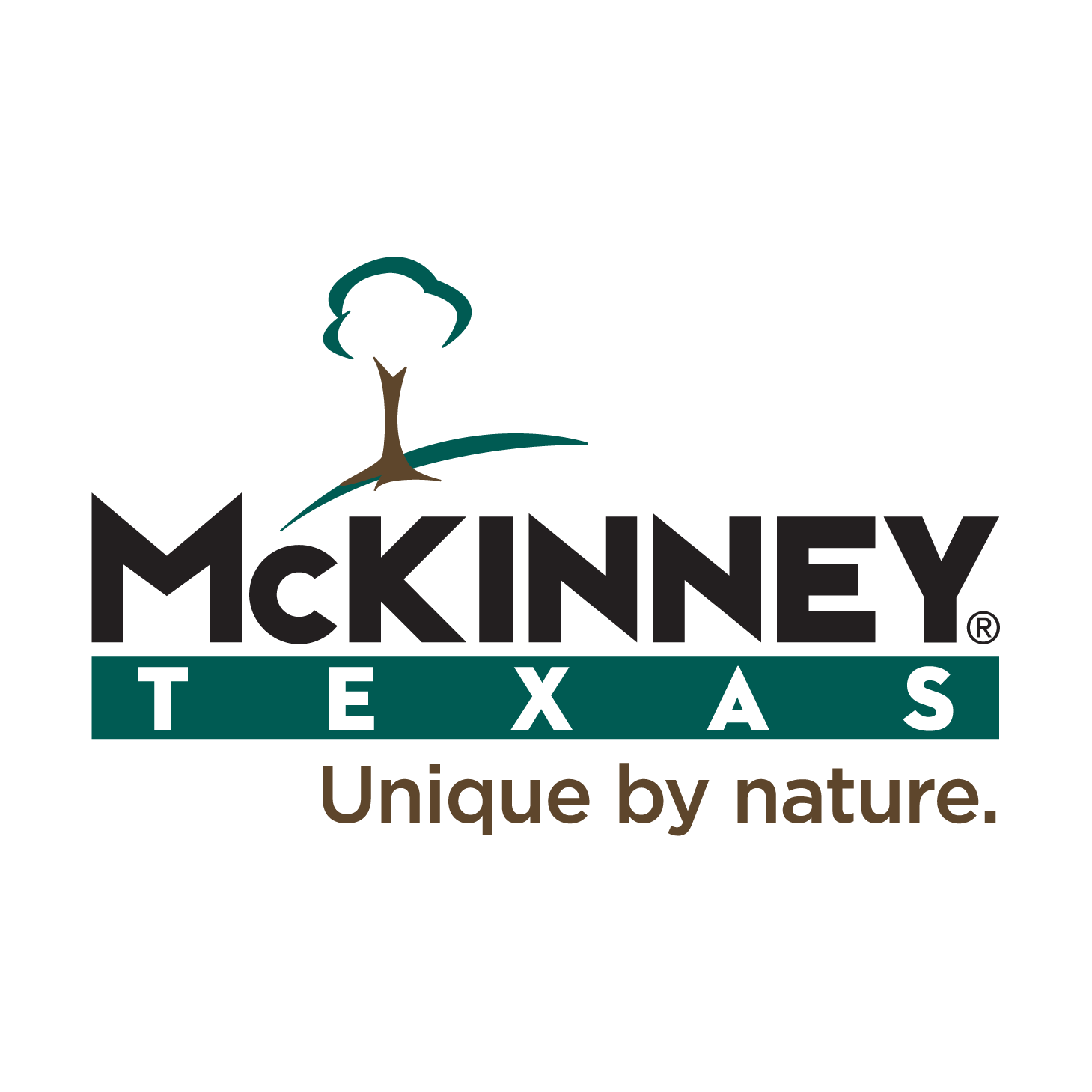 City of McKinney Logo .png